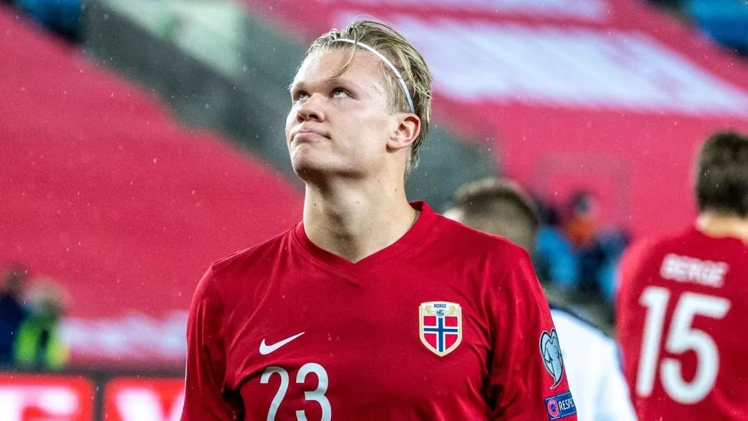 2025年GamblingNews体育新闻