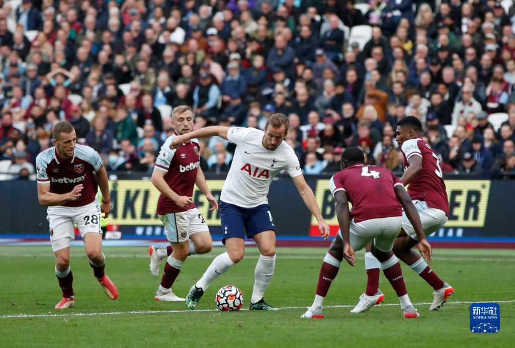 2025年体育博彩算法软件市场研究